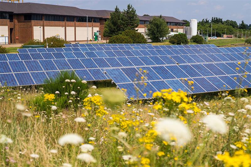 Solar panels surrounded by grass and a building
