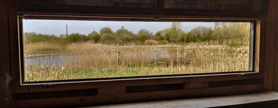 View from the inside of a bird hide