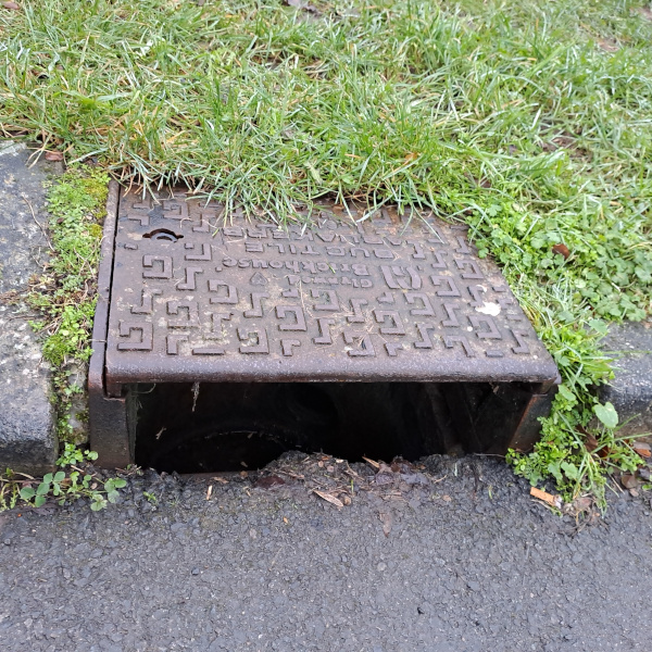 Roadside gully