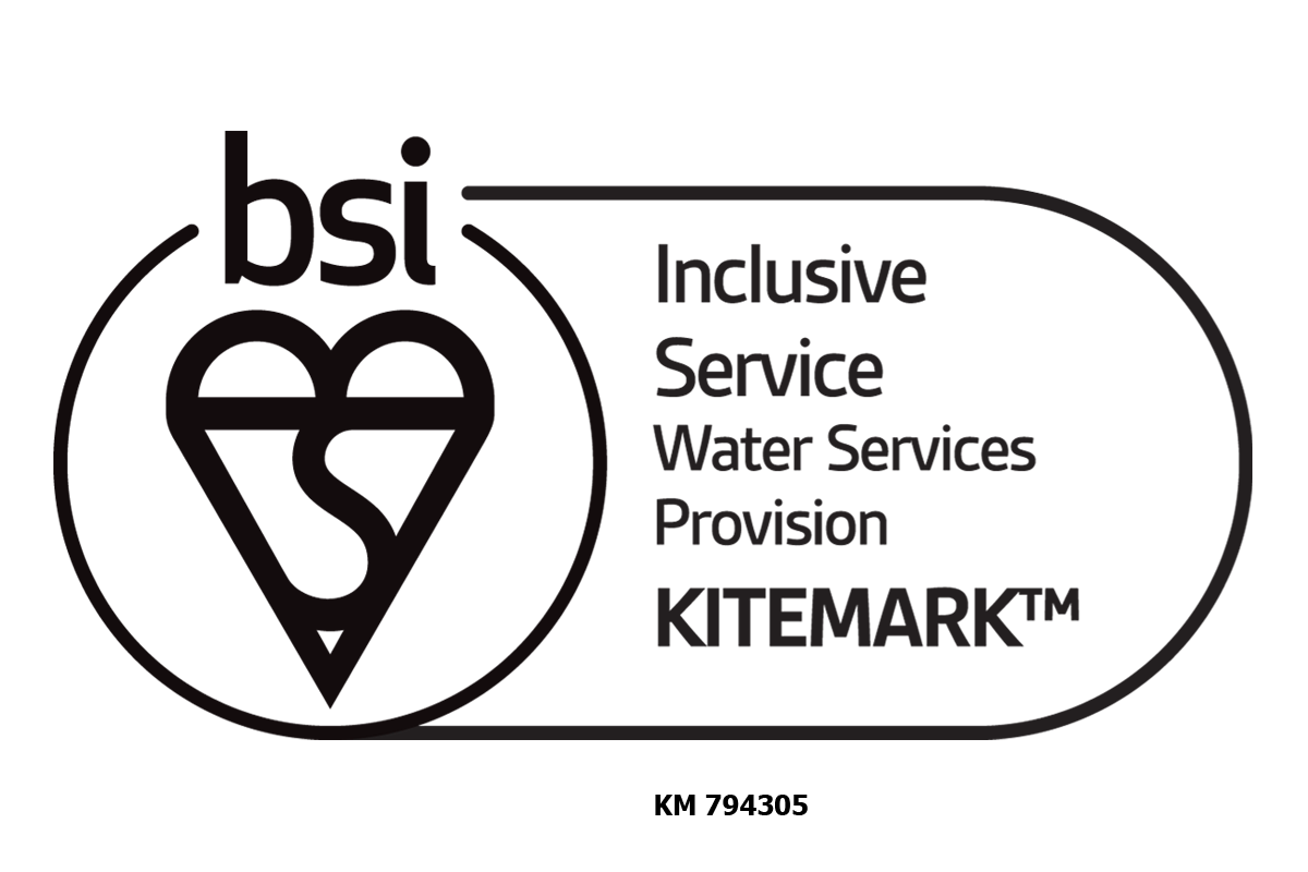BSI Inclusive Service Kitemark