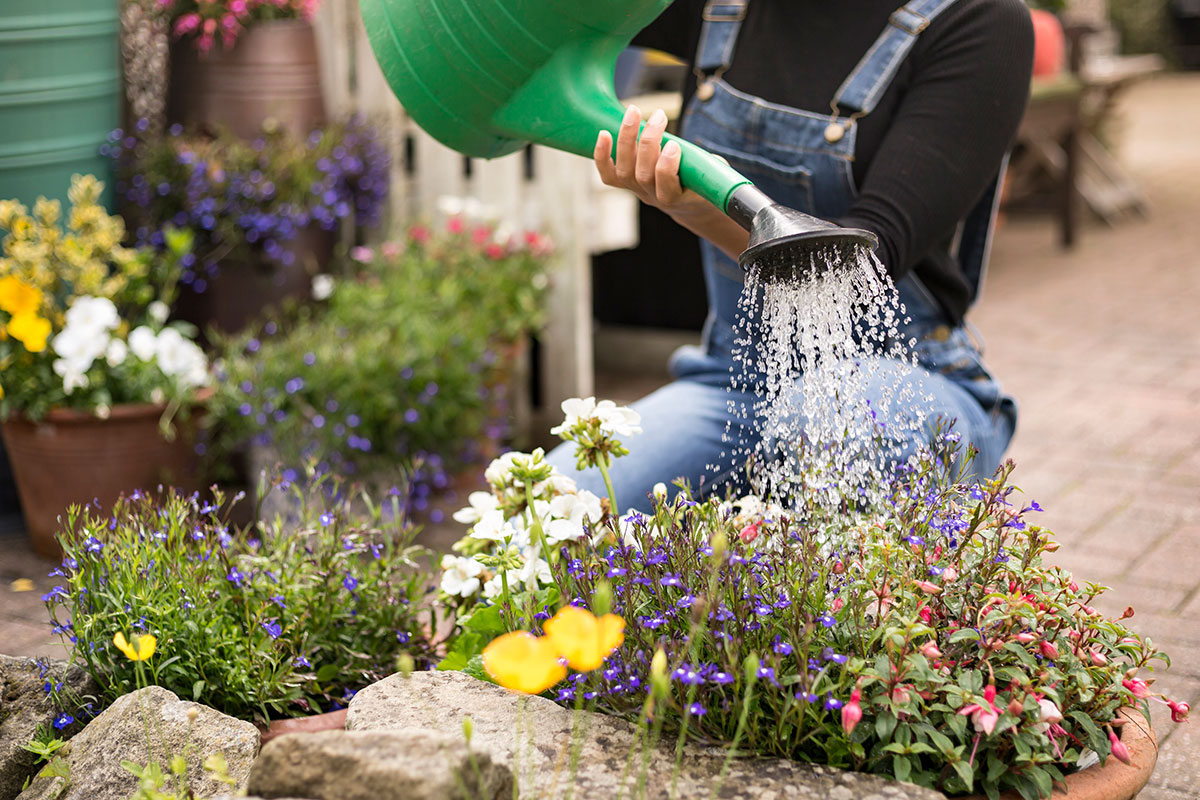 Woman waters flowers from watering can
