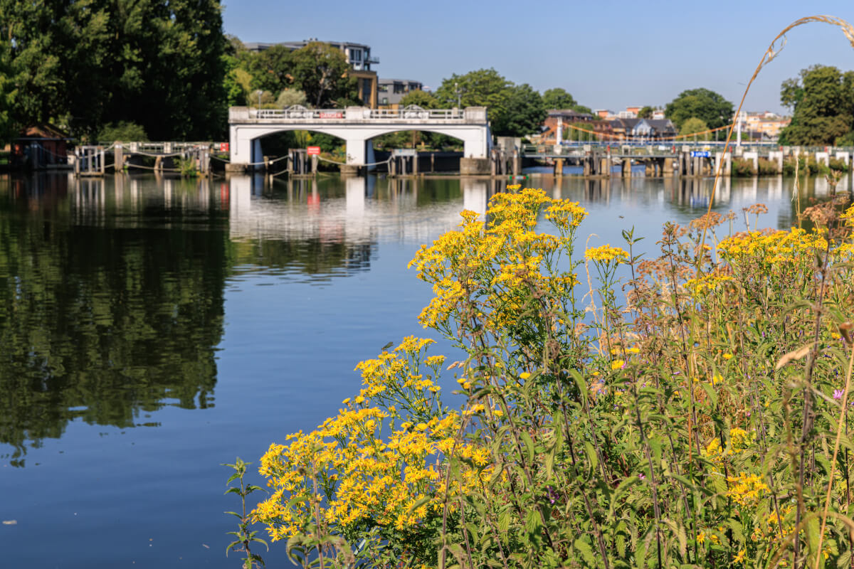 Teddington lock