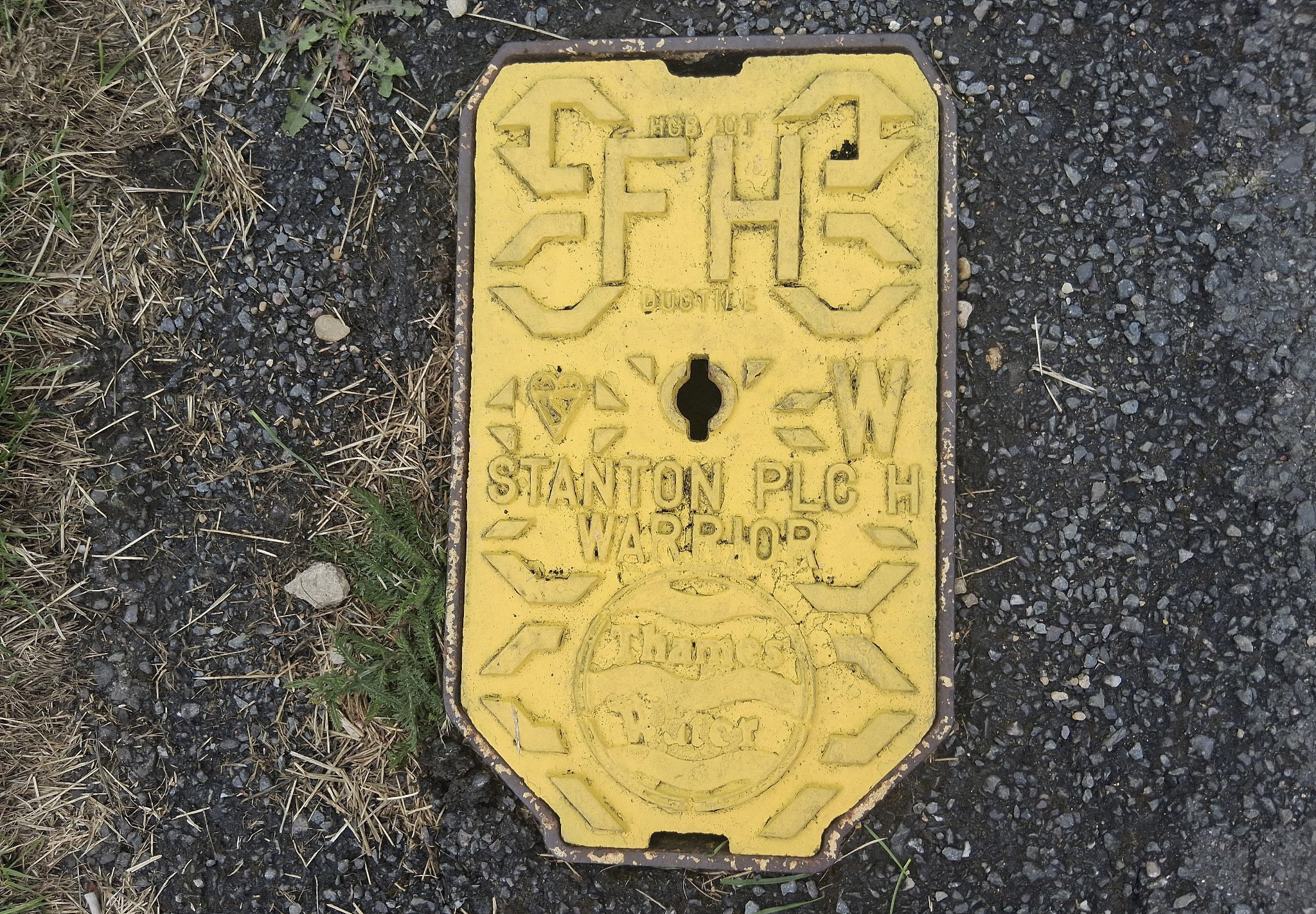 A picture showing a yellow fire hydrant with the Thames Water logo