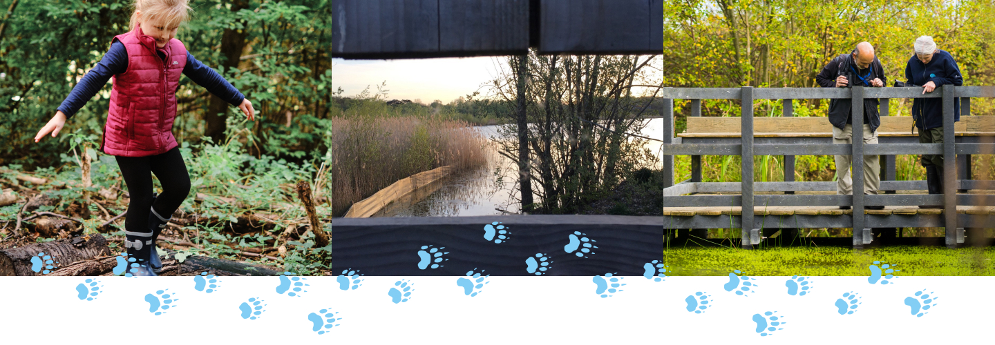 Kempton nature reserve montage