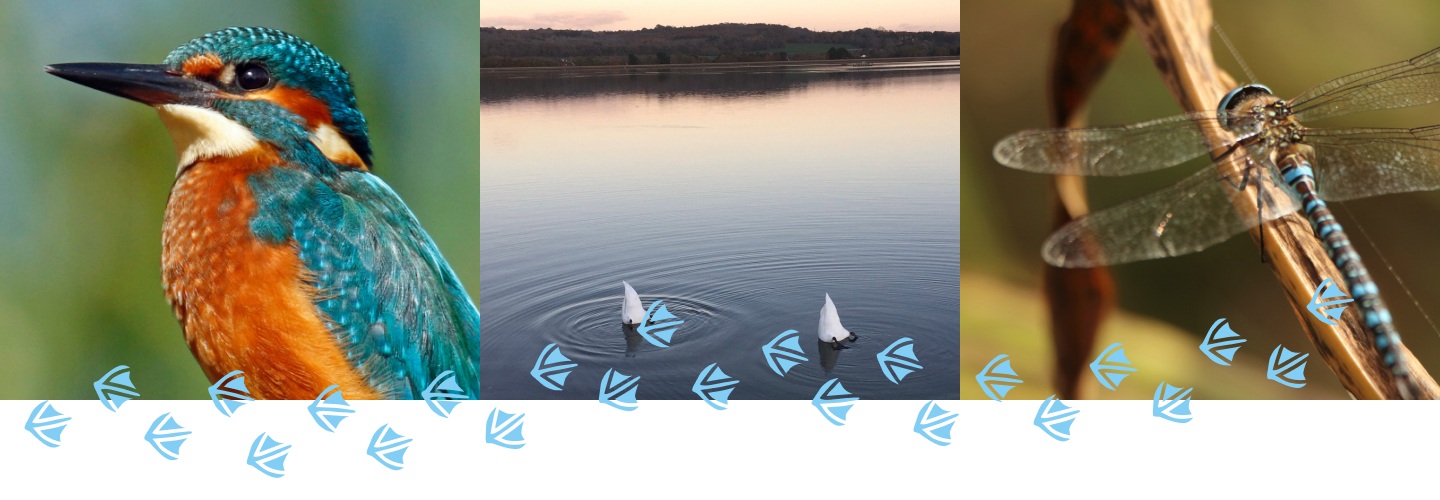 Montage of Farmoor Reservoir