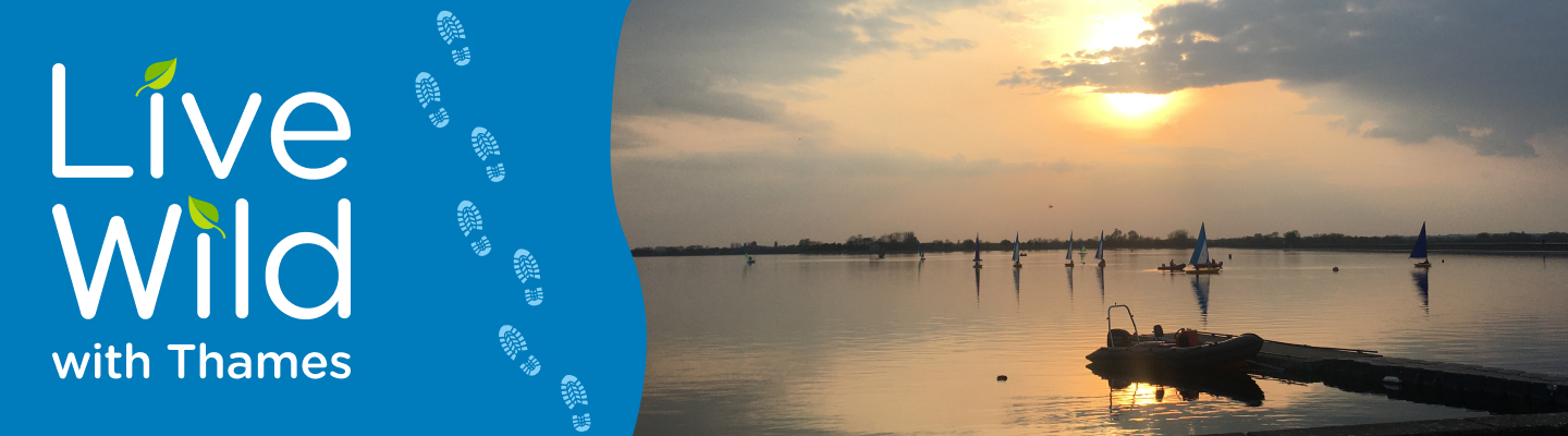 Farmoor Fishery Banner with Live Wild title