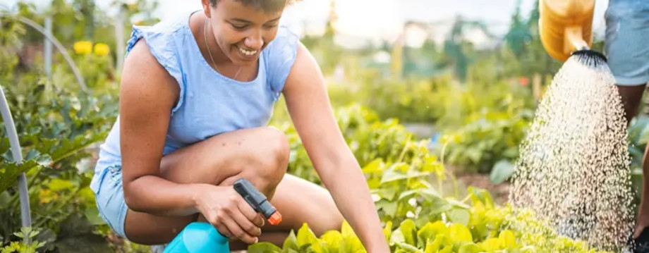 People watering their garden