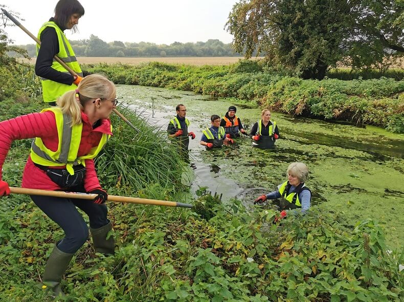 Volunteers removing weeds to reduce water level of river