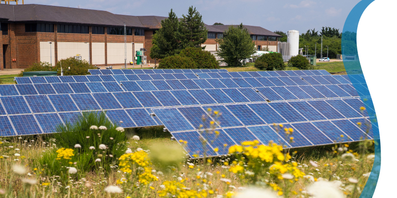 An image of solar panels in a field