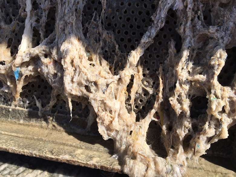The rag found at Beddington sewage works