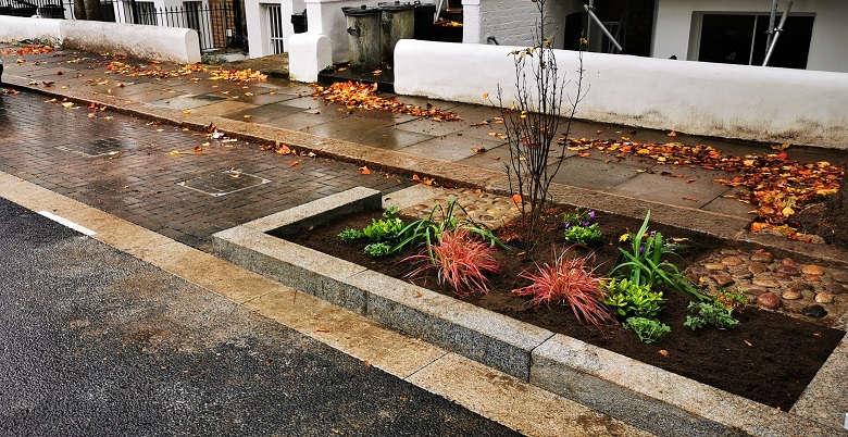 A section of pavement with a garden containing green plants built into it.
