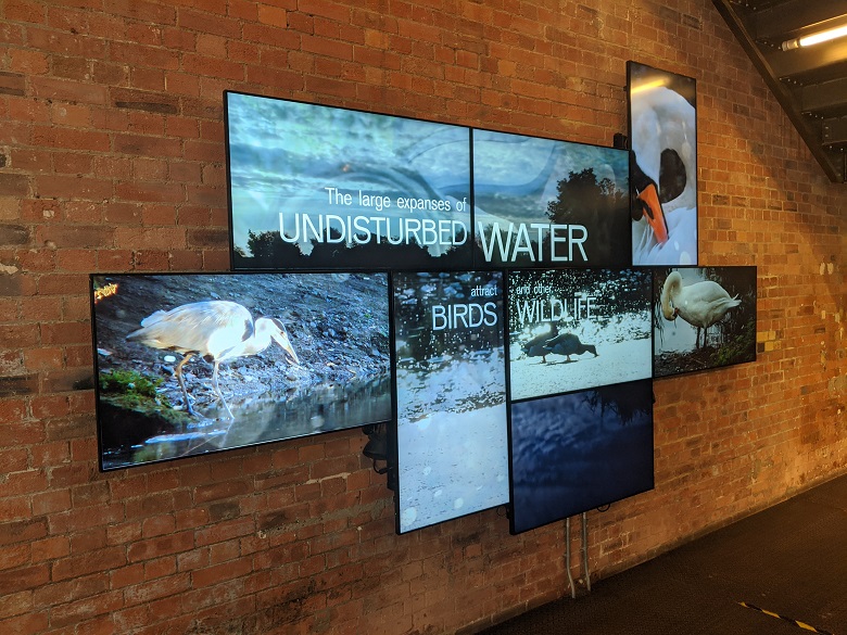 television screens at walthamstow wetlands visitor centre