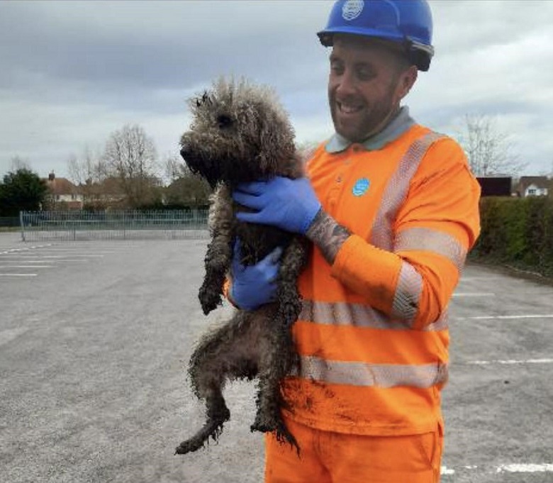 Engineer James Lewis holding the rescued dog