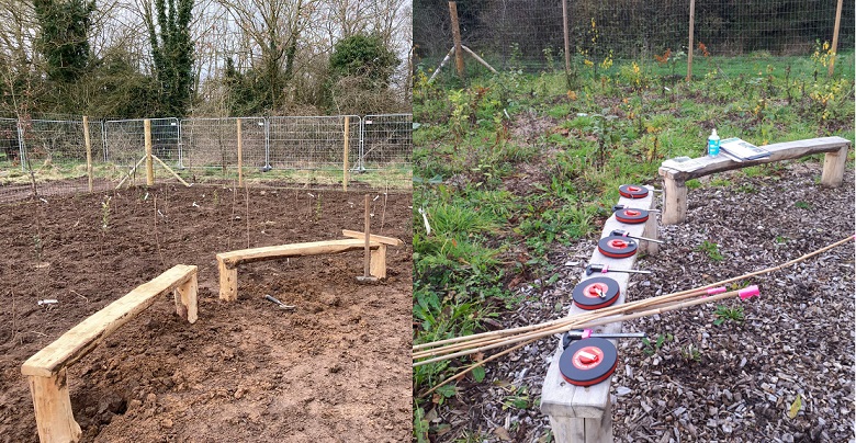 A before and after photo showing tree growth between March and November 2021.
