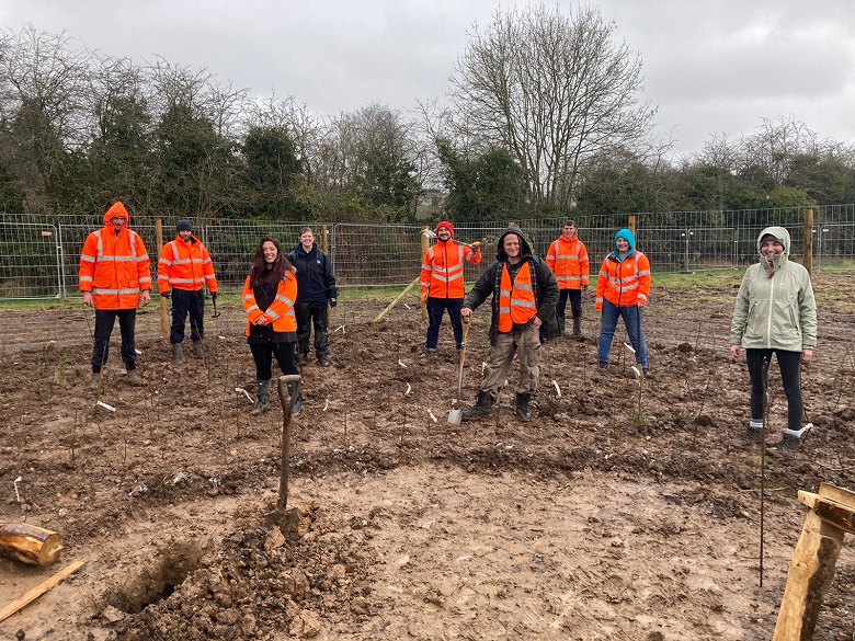 A group of volunteers planting trees