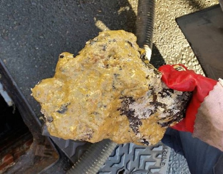 lump of solidified cooking fat removed from sewer in henley on thames