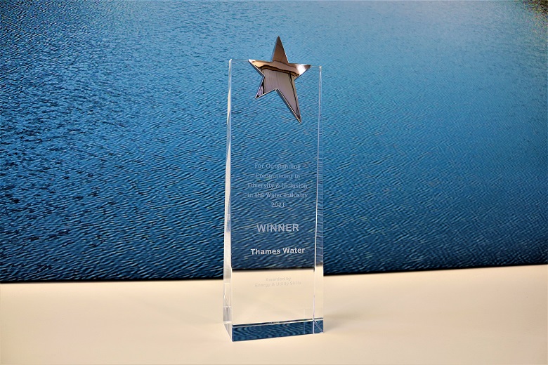 Thames Water received the ‘Outstanding Commitment to Diversity & Inclusion in the Water Industry 2021' at the Institute of Water’s annual conference.