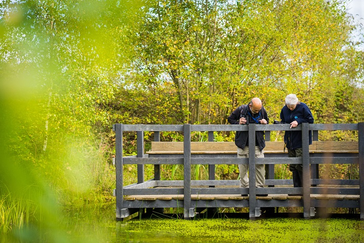 Two people dressed in blue look into a pond.
