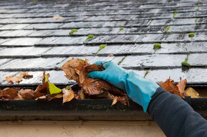 A customer wearing a blue glove removes leaves from a gutter