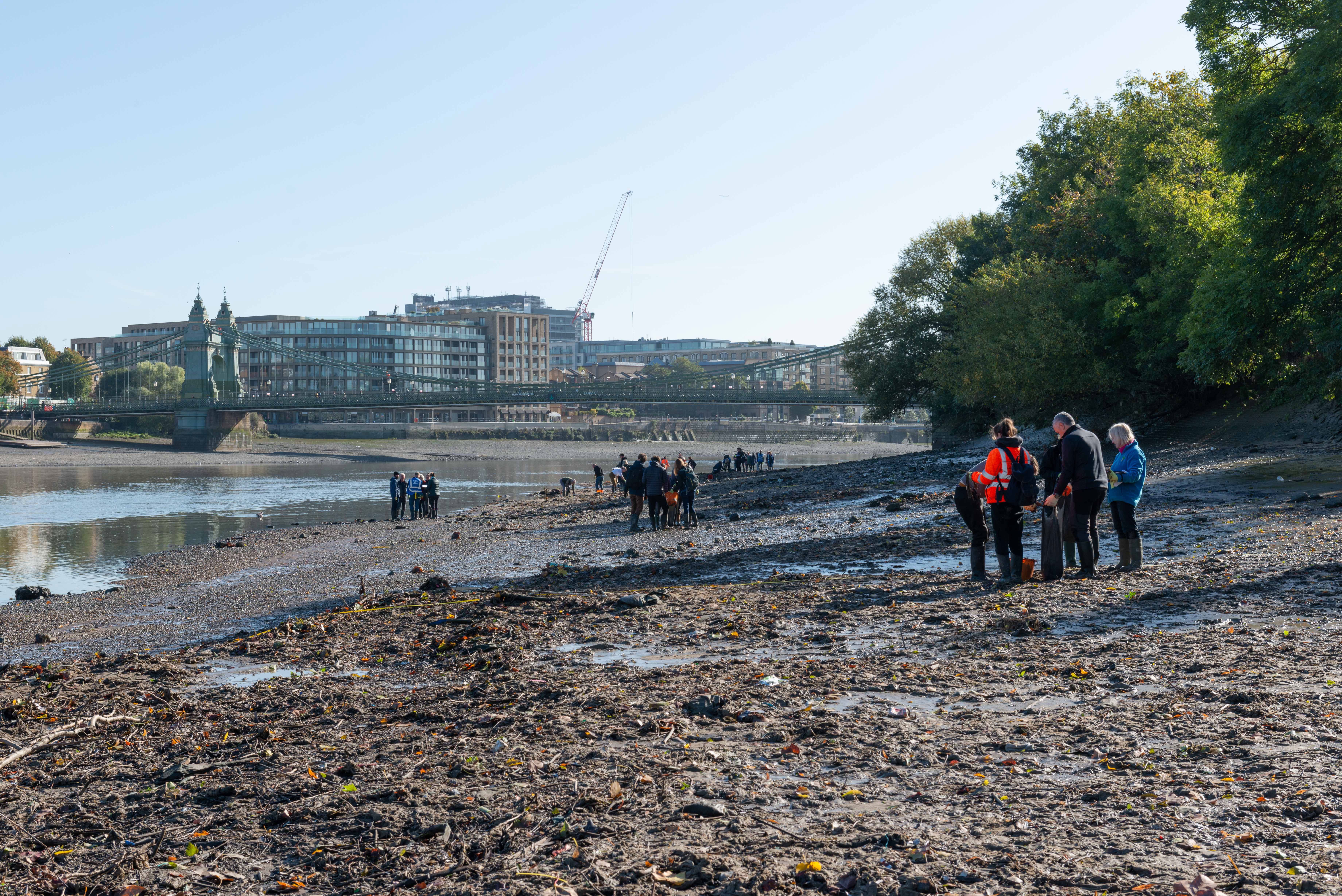 Volunteers during a clean up at Wet Wipe Island near Hammersmith Bridge