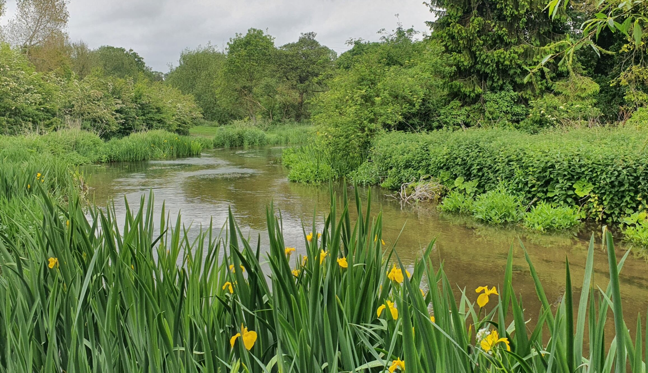 River Chess
