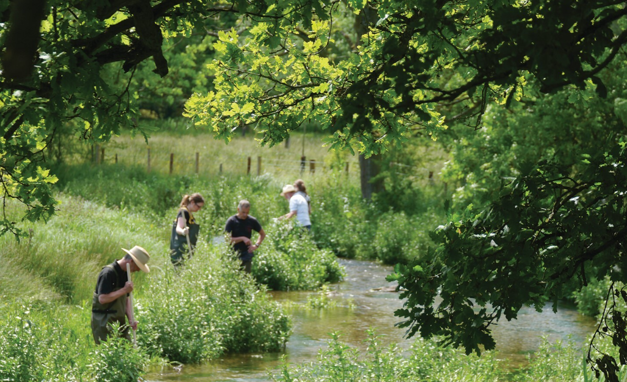 Volunteers on the River Chess