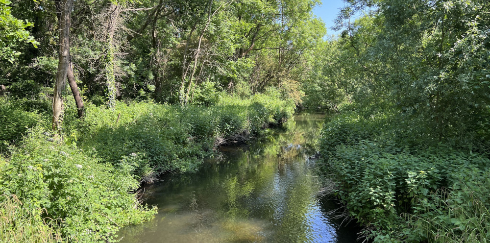 River Crane in Pevensey Road NR and Little Park Reach LB Hounslow