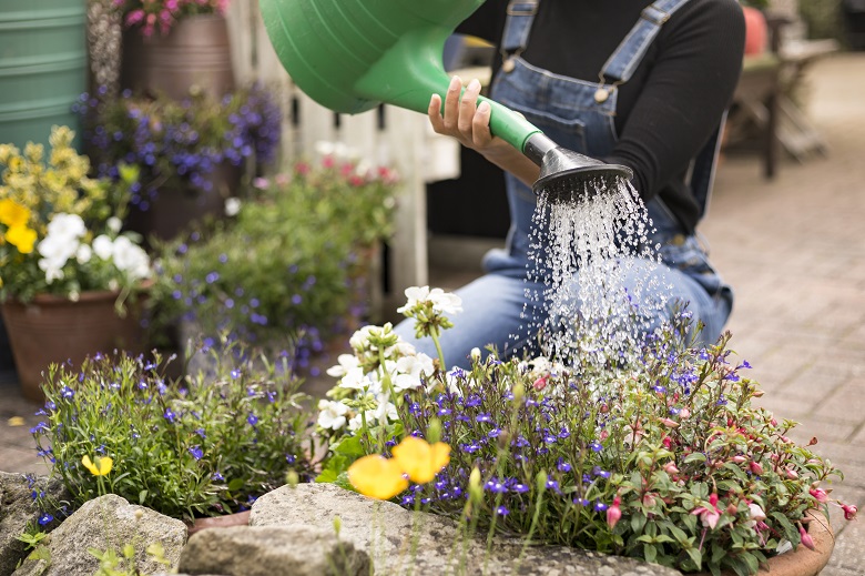 A person kneeling to water flowers with a watering can