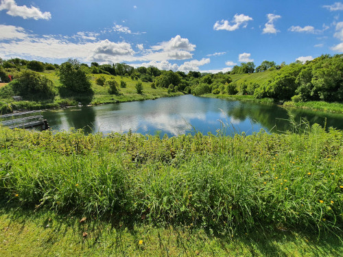 A sun lit river with a long grass bank and trees in the distance with a blue sky and a few white clouds.