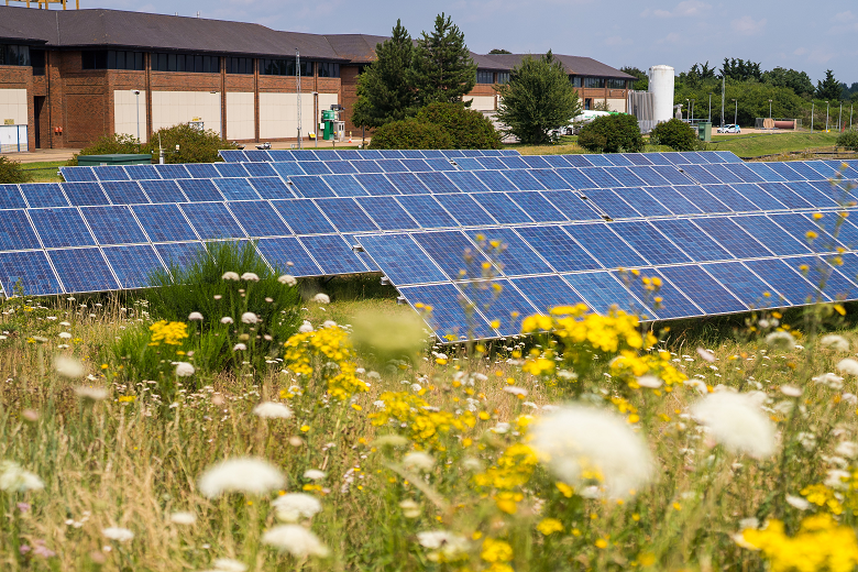 A group of solar panels among wildflowers in front of a small building.