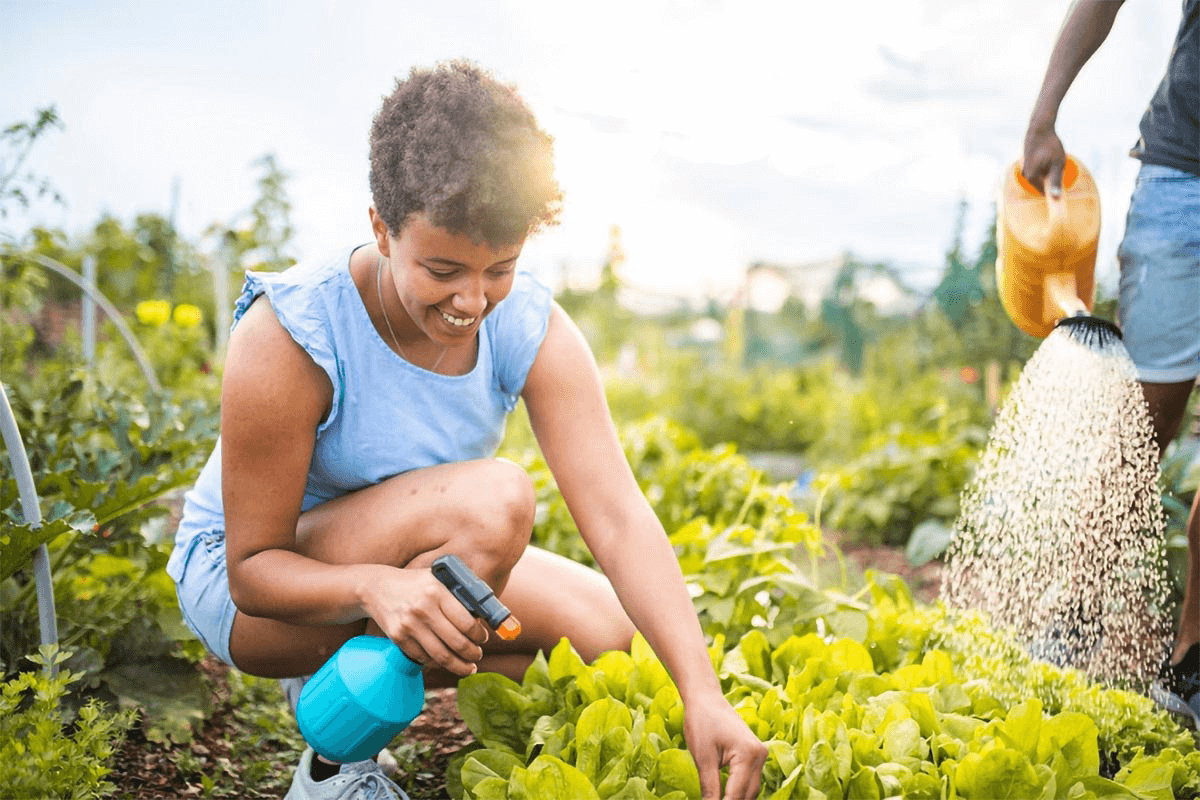 A lady is kneeling down close to some plants and watering them with a spray in her hand. 
