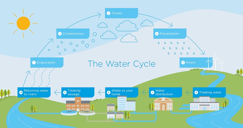 Water cycle diagram