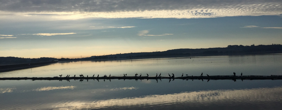 Farmoor Reservoir