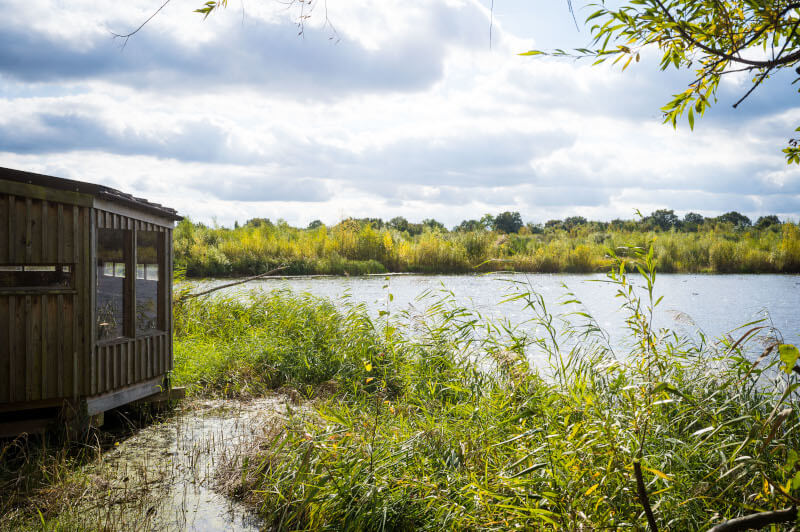 Bird hide at Kempton Nature Reserve