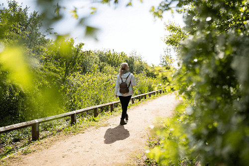 A woman wearing a rucksack walking along a path through green plants and bushes with the sun shining.
