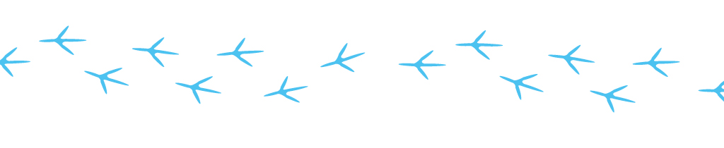 An illustration of bird footprints in blue on a white background.
