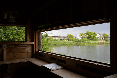 Trees and water visible through the window of a bird hide with a book open on the ledge in front of the window.