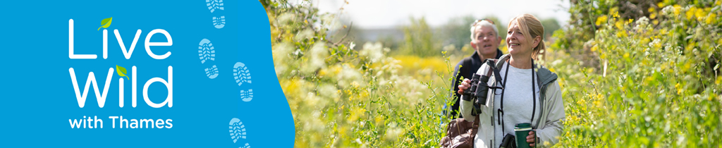 Live wild with thames written in text on the left on a blue background with white boot prints and a man and woman in a field of tall grass and plants in bright sunshine on the right.