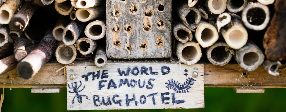 Bug hotel