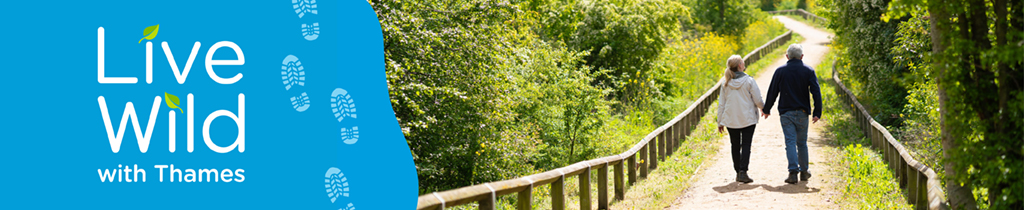 A banner showing the message live wild with thames in white on the left with a picture of a couple walking through woodland on the right.