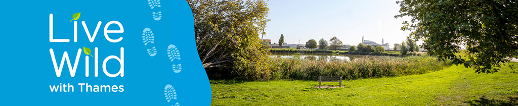 An image showing live wild with thames on the left with boot tracks and a scene of green grassland and trees with water in the distance under a blue sky.