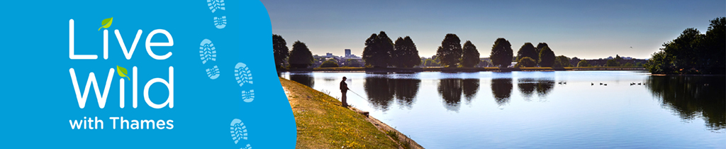 A banner showing the message live wild with thames in white on a blue background and a view of water with someone fishing on the right.