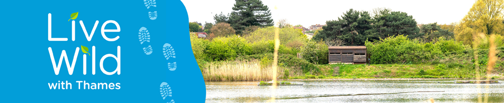 A banner showing the message live wild with thames on the left and a bird hide at the edge of water on the right.