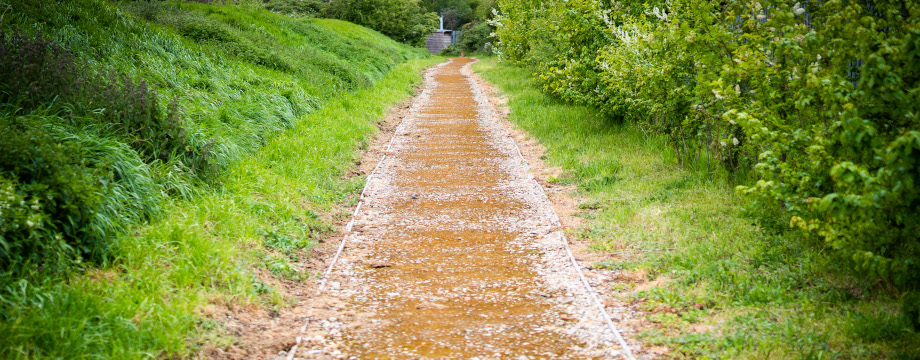 Nature trail