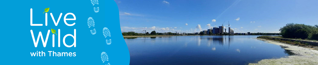 A banner showing the message live wild at thames on the left on a blue background and view of water with trees and grass in the background.