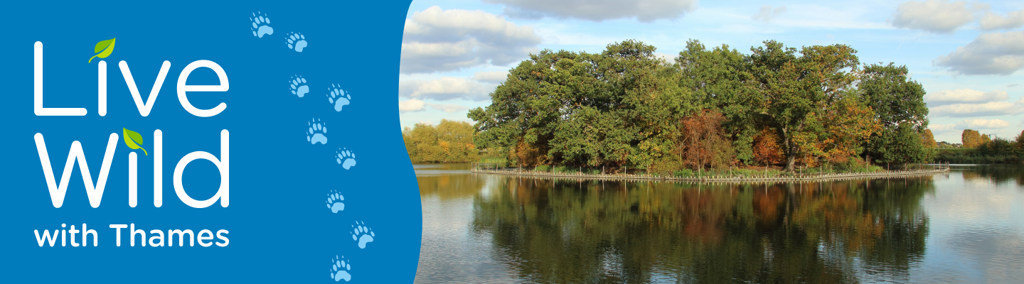 Walthamstow Wetlands