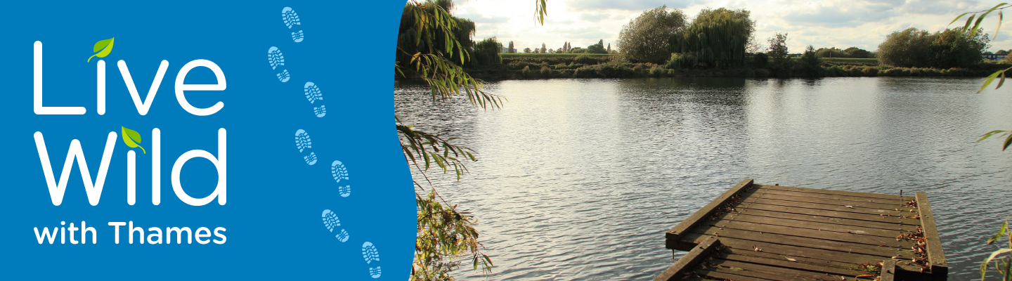 Walthamstow Fishery