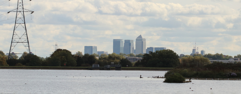 View across Walthamstow Wetlands