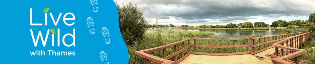 A banner showing live wild with thames in white on a blue background with a view of the water.