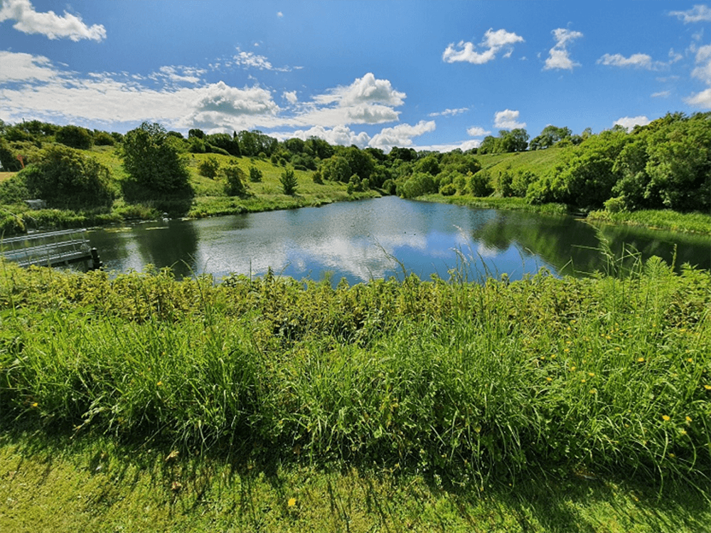 A view of water in a reservoir surrounded by green trees, bushes, and grass under a blue sky.